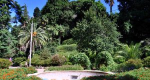 Обзорная экскурсия по Батуми и Ботанический Сад