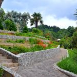 Botanical Garden, Batumi