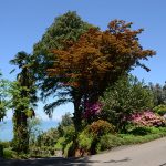 Botanical Garden, Batumi