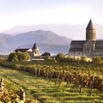 Rtveli in Georgia