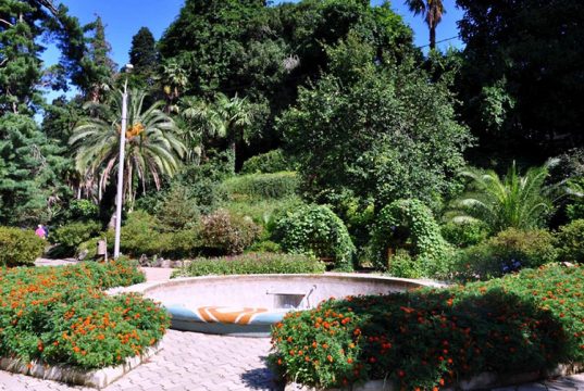 БАТУМИ — БОТАНИЧЕСКИЙ САД Обзорная экскурсия по Батуми и Ботанический Сад